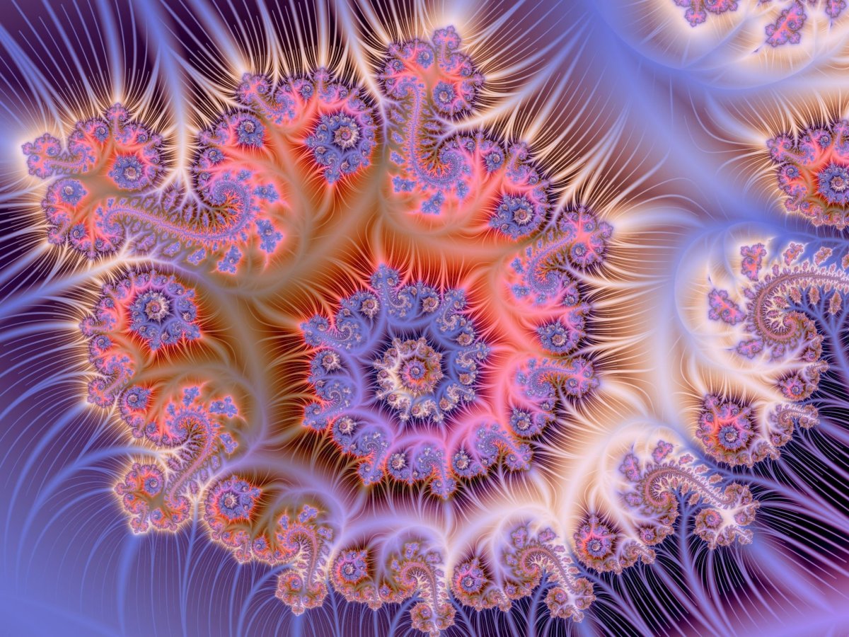 Фракталы в природе