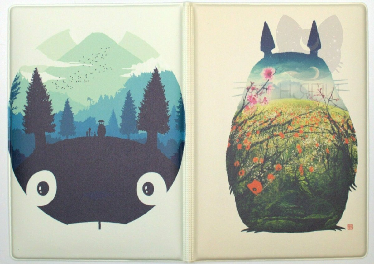 Тоторо космический