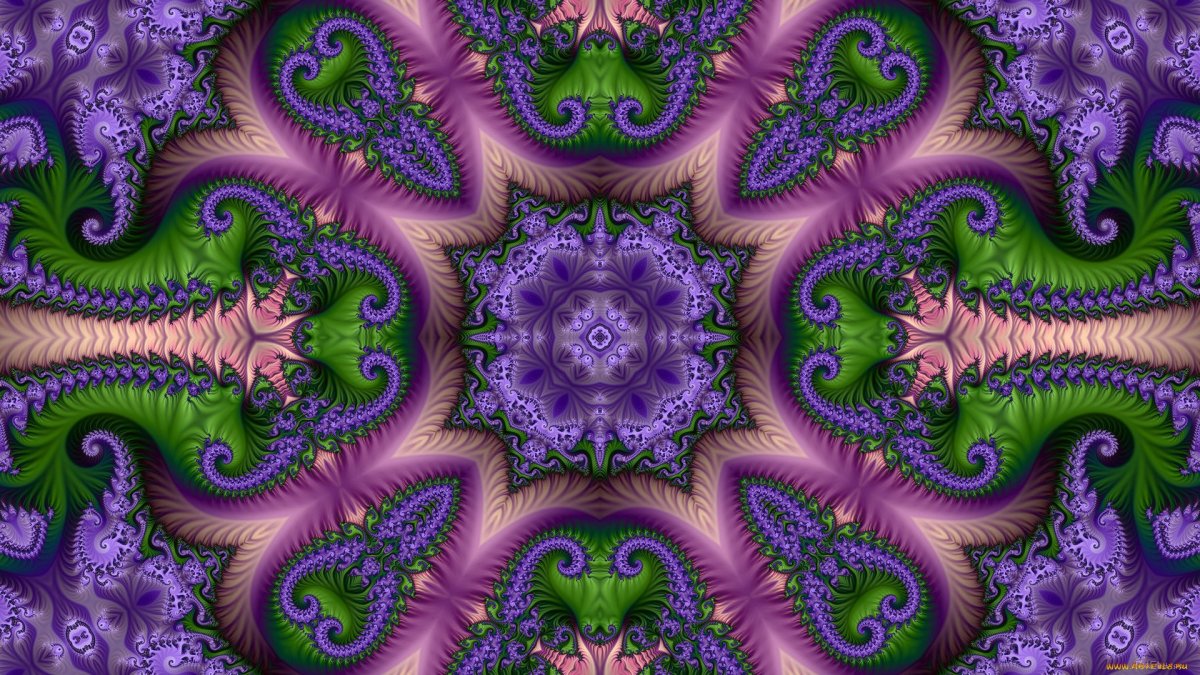 Фракталы биоморфы