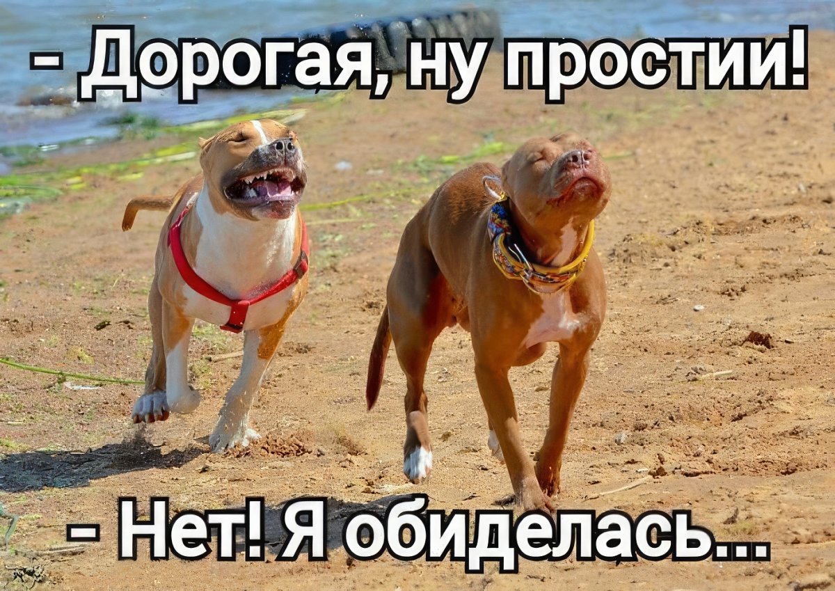 Обиделась нет сильно да