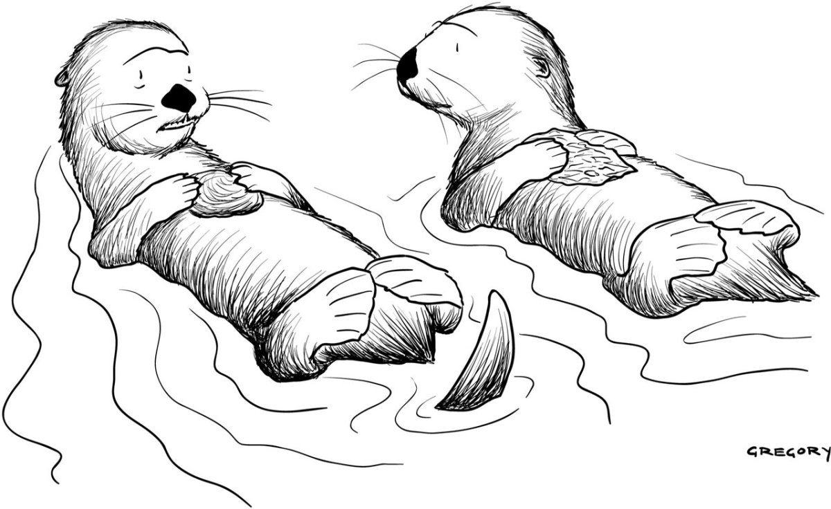 Северный калан