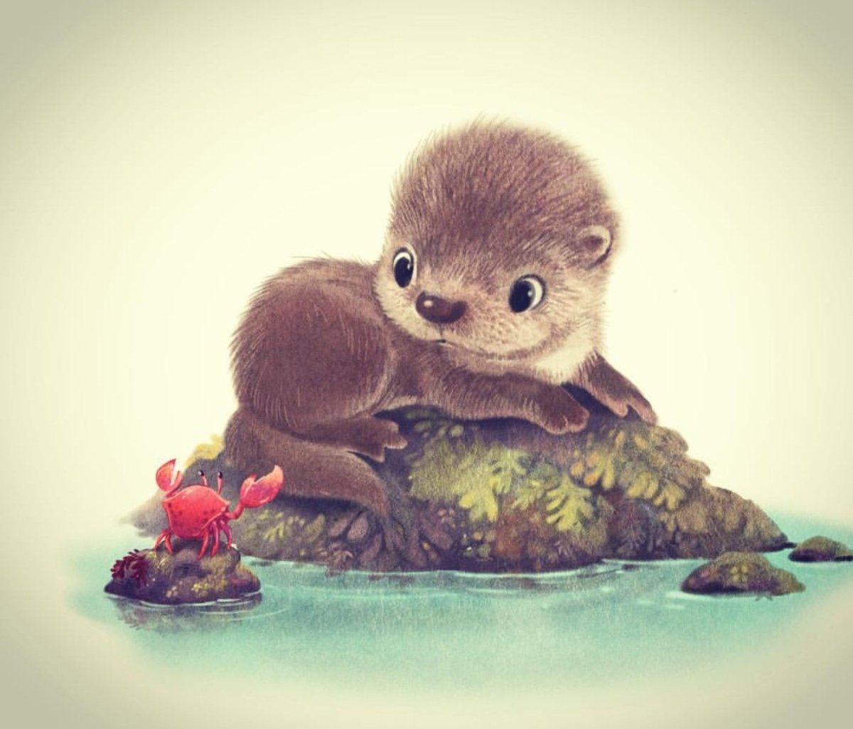 Кроноцкий заповедник каланы