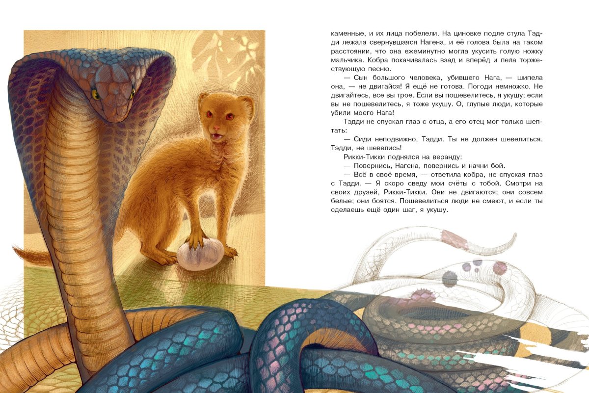 Рикки Тикки Тави иллюстрации книжные