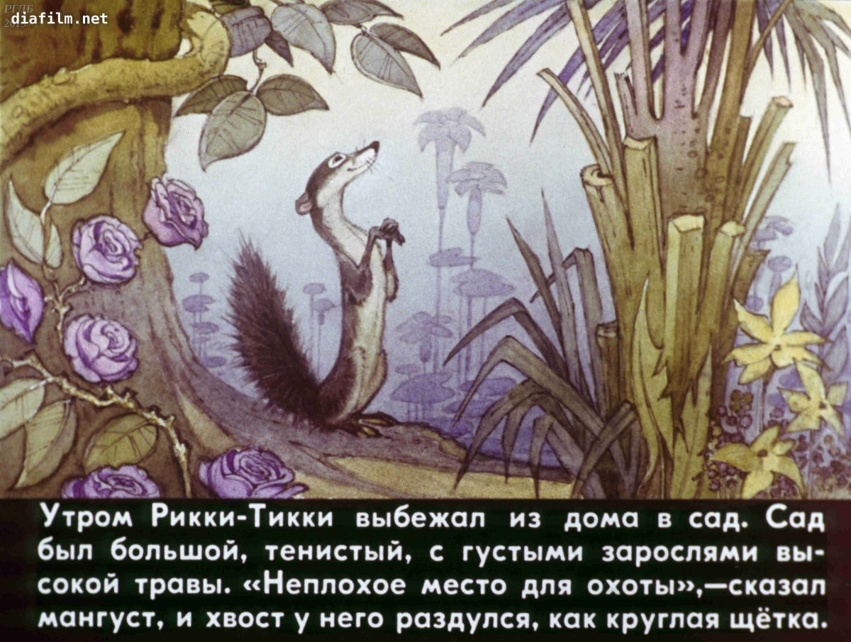 Африканская сказка Рикки Тикки Тави