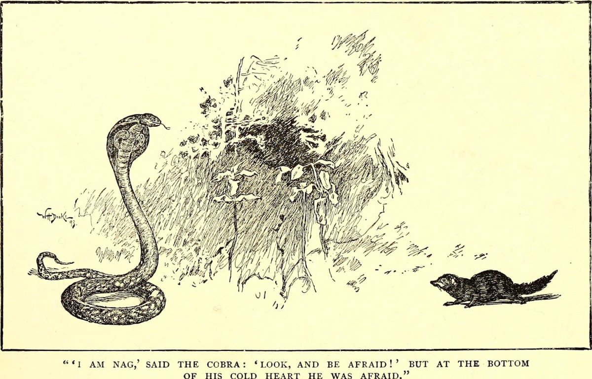 Рики Тики Тави наводнение