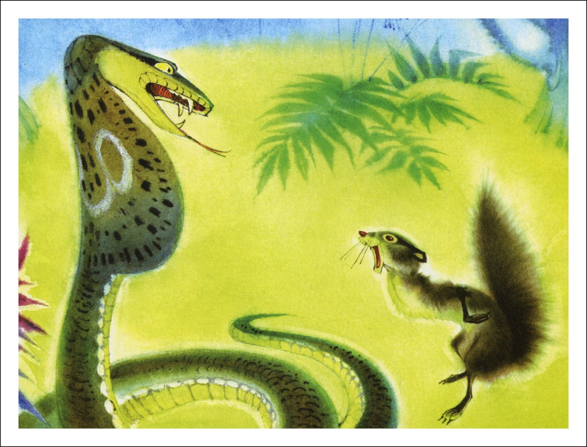 Иллюстрация из книи Рики Тики Тави