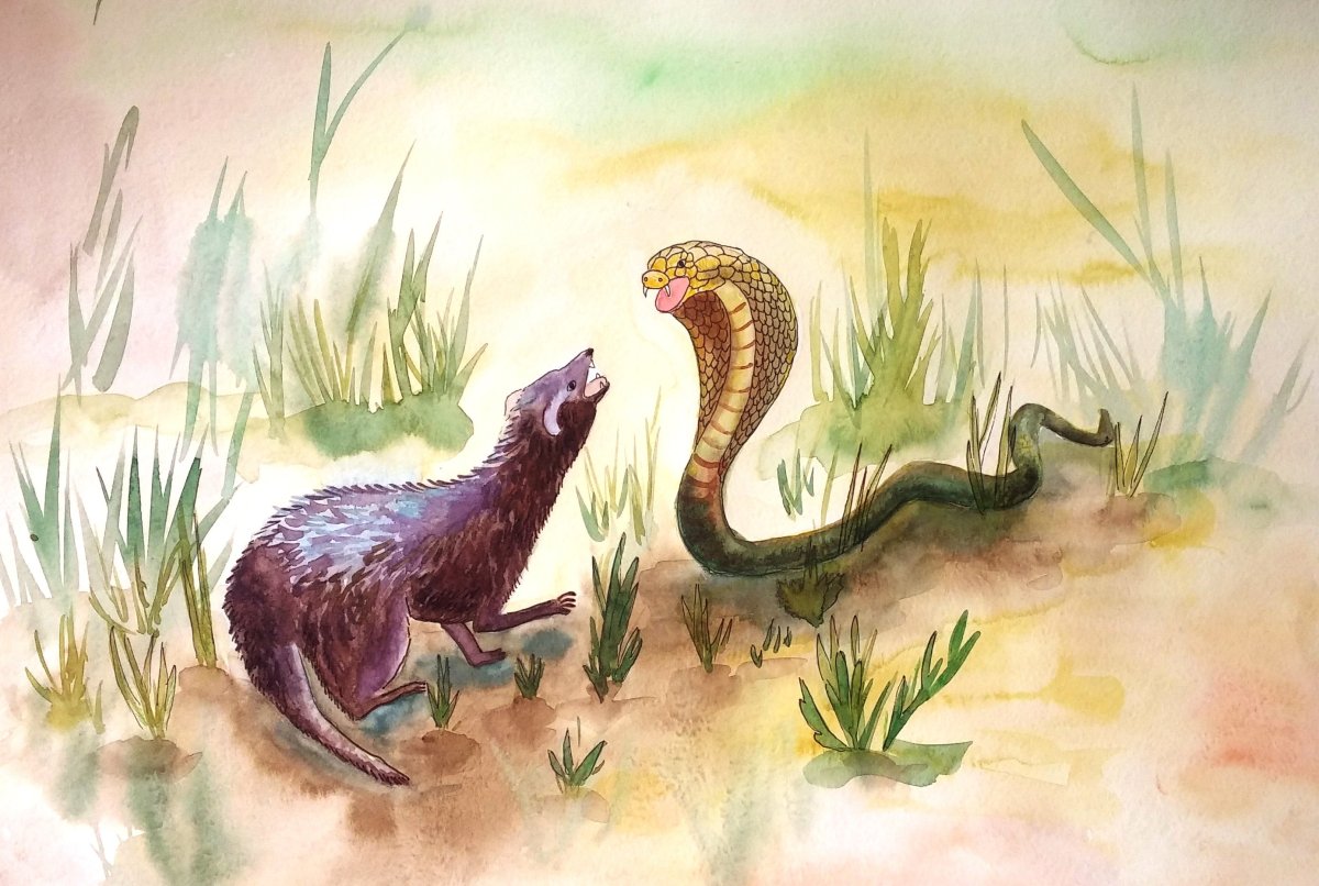 Киплинг "Рикки-Тикки-Тави"