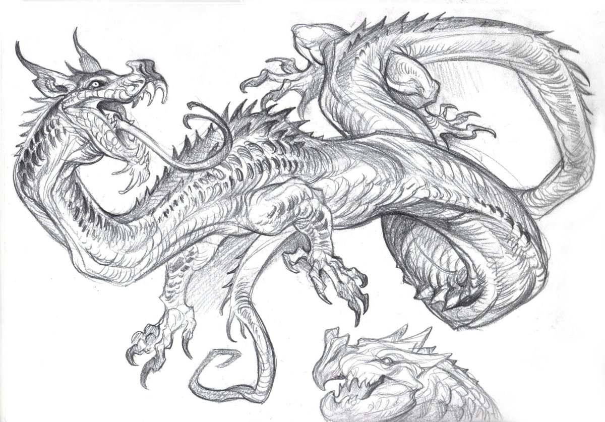 Дракон рисунок