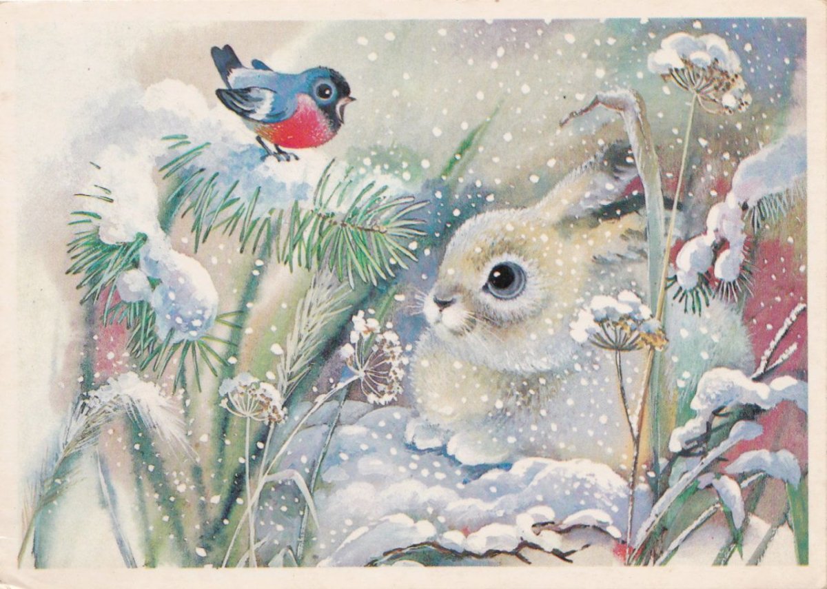 Художник т Жебелева