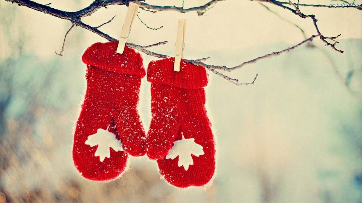 Варежки в снегу