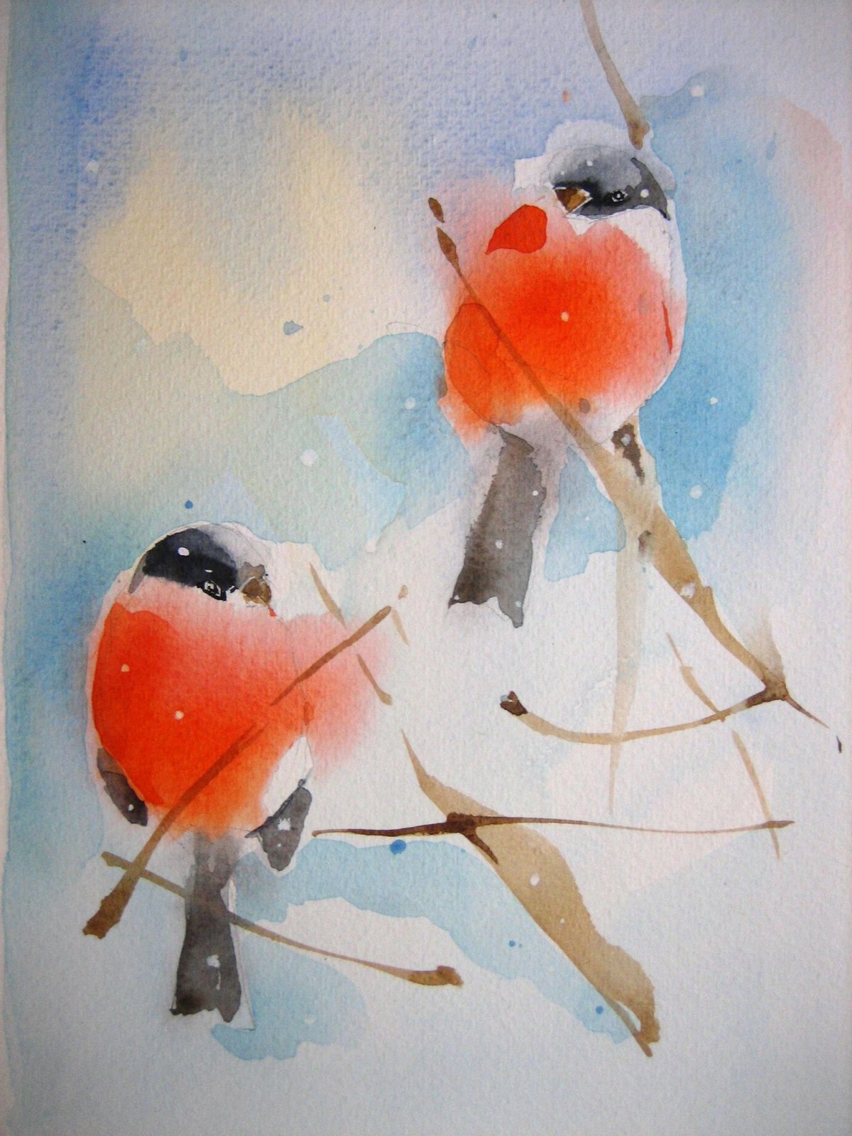 Снегирь акварель