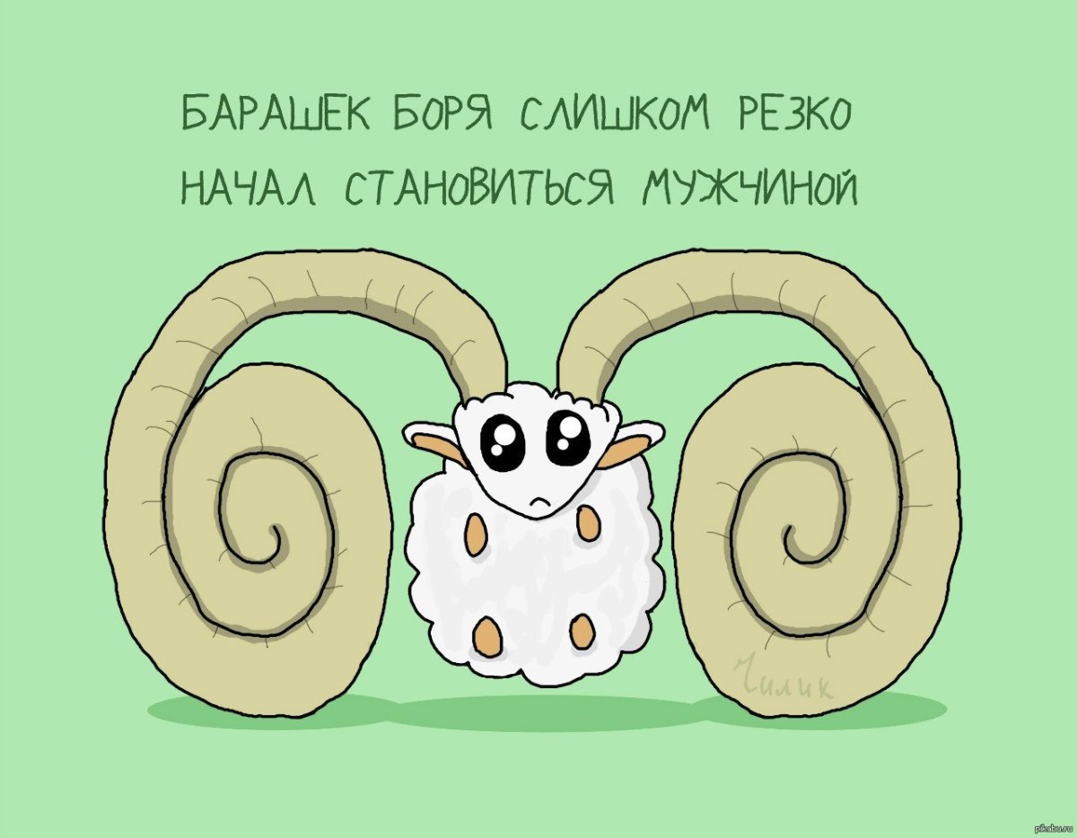 Барашек Боря