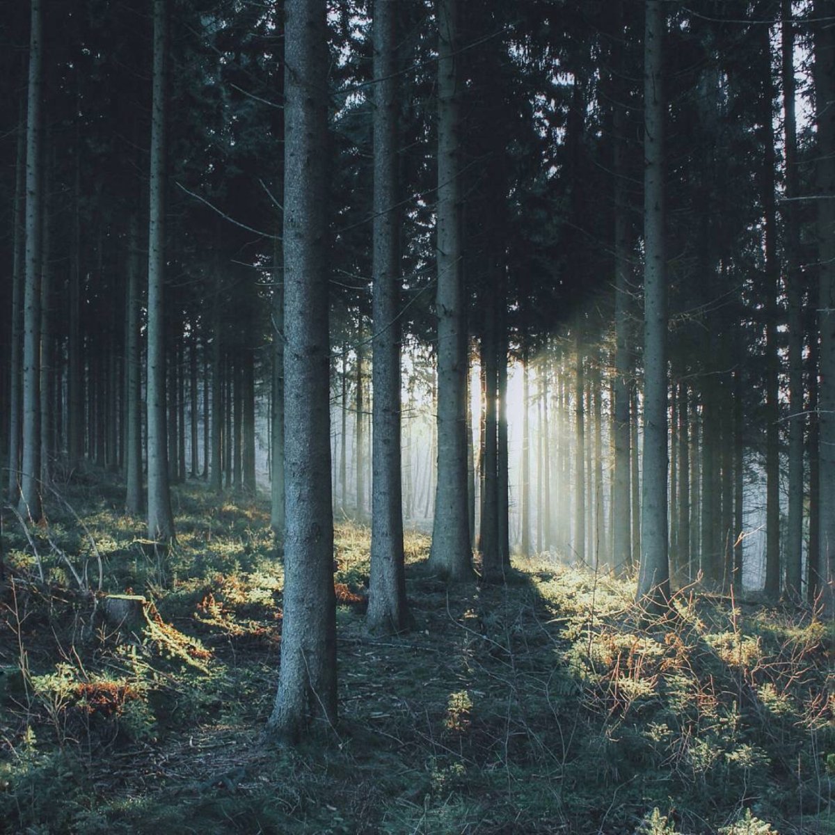 Атмосферные пейзажи