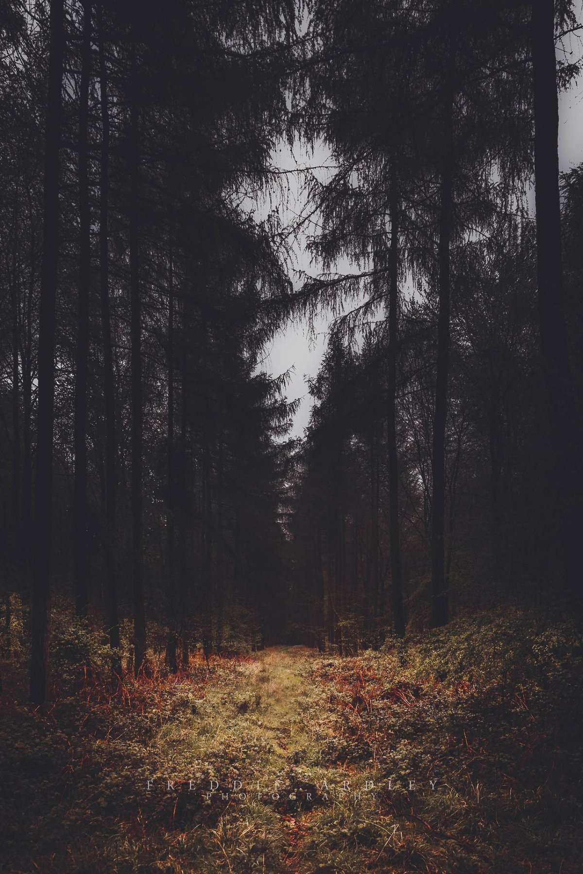 Горный пейзаж вертикальный