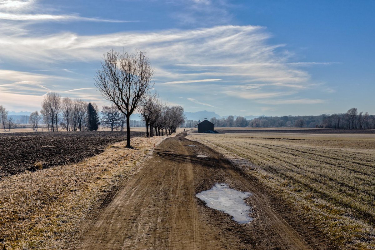 Поле поздней осенью