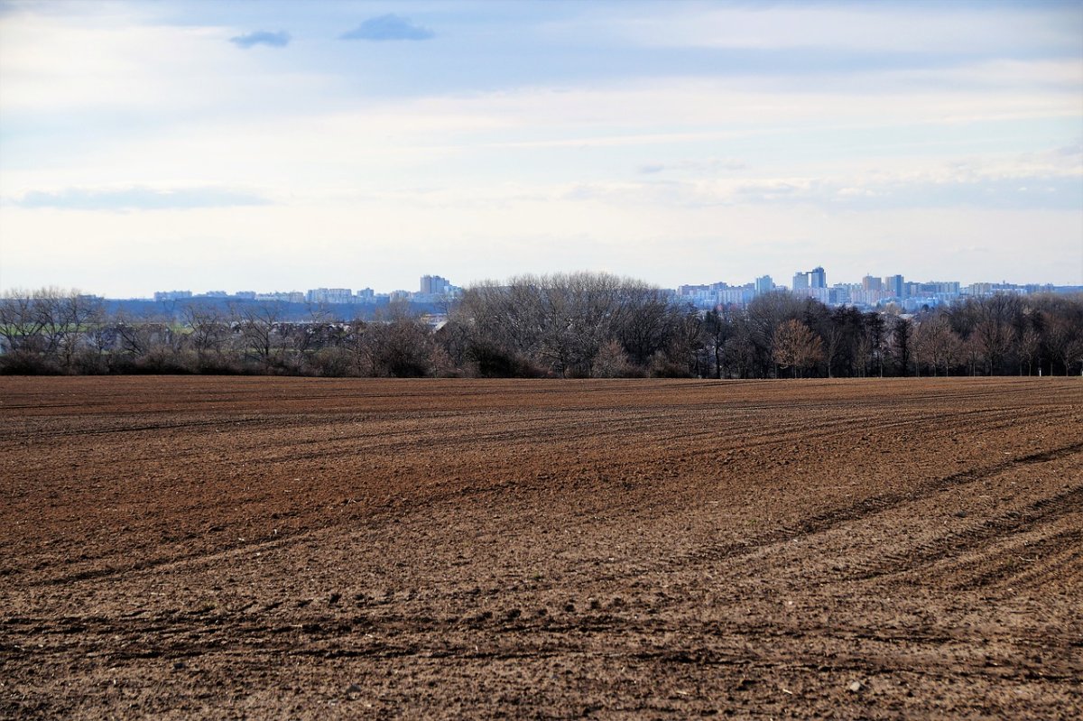 Поле ранней весной