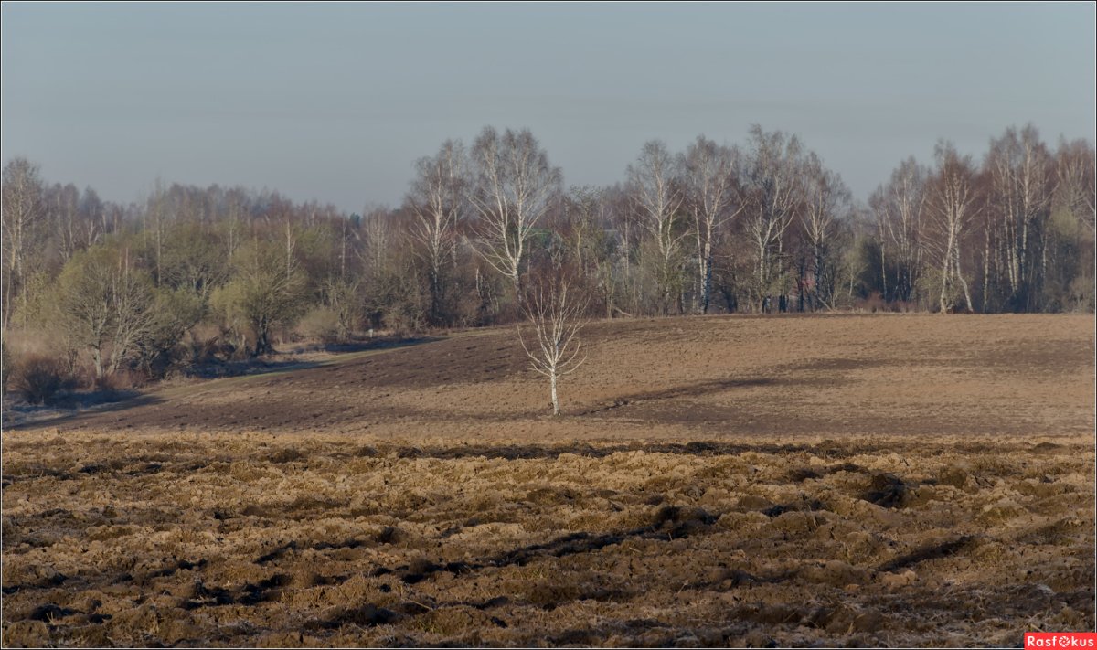 Весенняя пашня