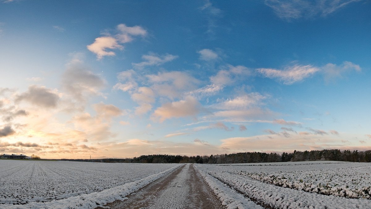 Зимнее поле