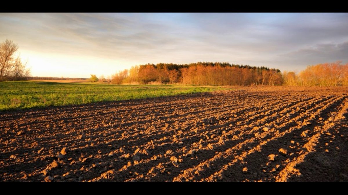 Огород пашня