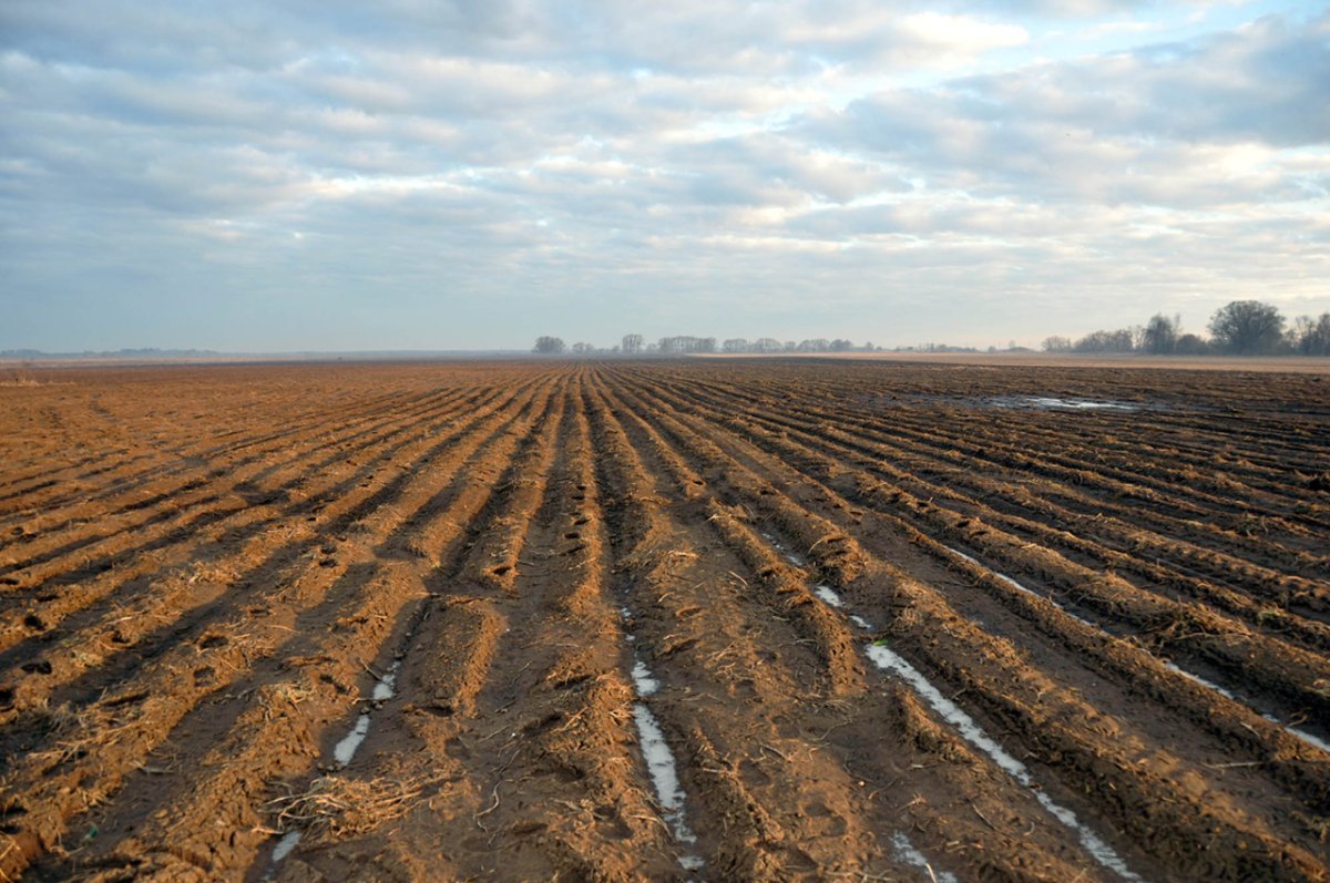 Пашня ранней весной
