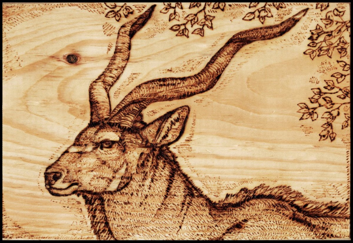 Художественное Выжигание по дереву