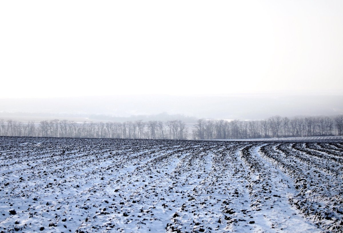 Пашня зимой