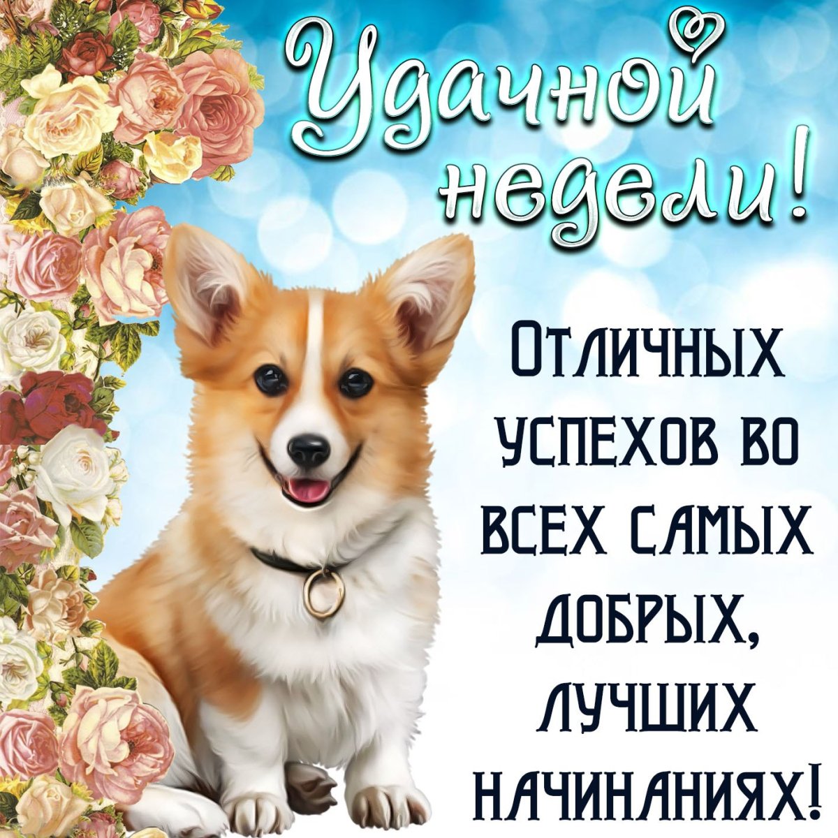 Удачного дня