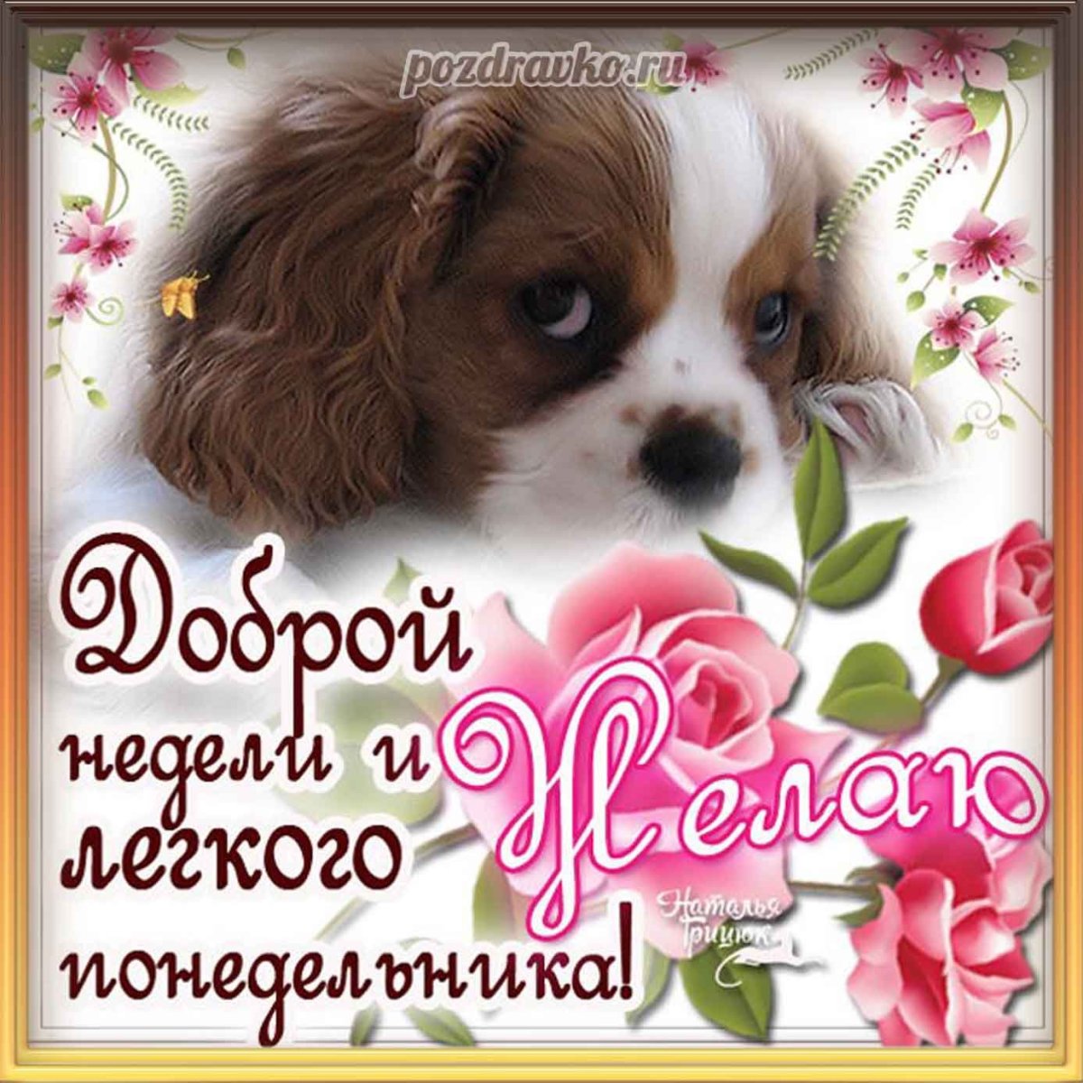 Пожелания доброго дня