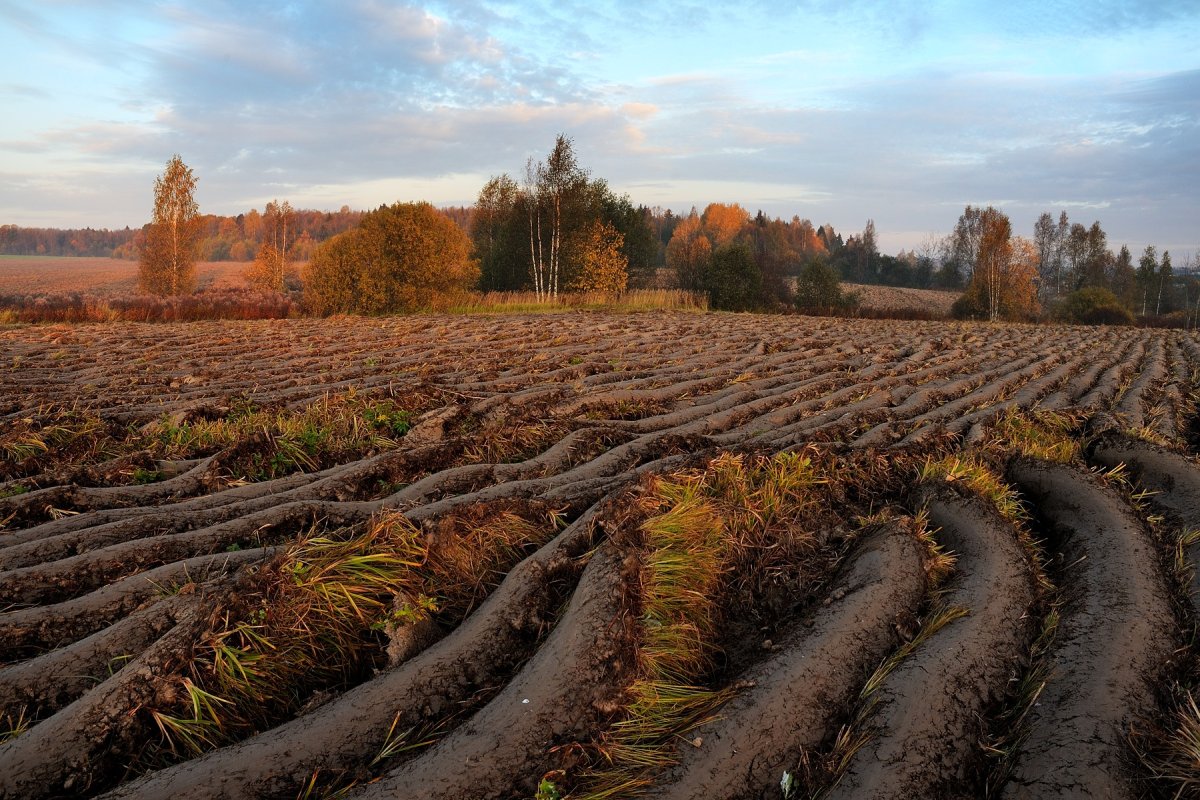 Пашня осенью