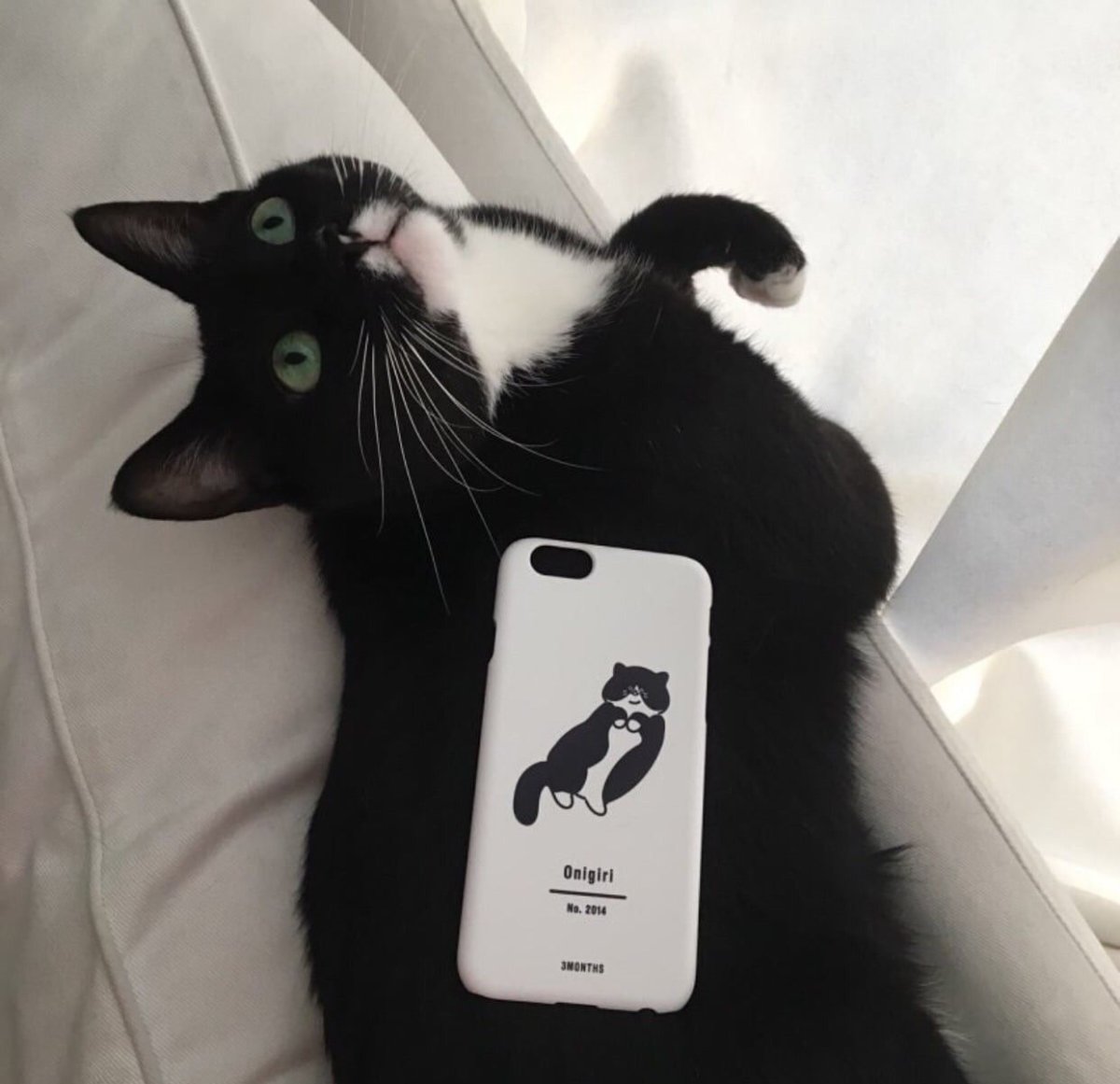 Черный котик Эстетика