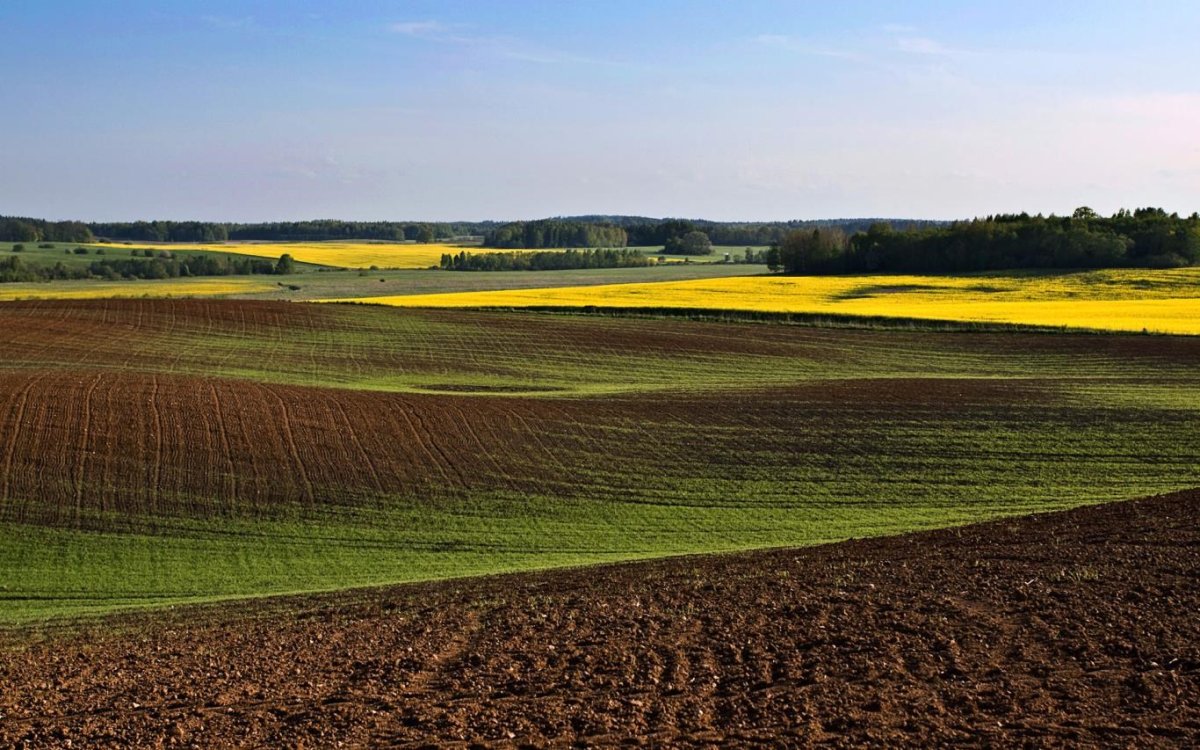 Сельскохозяйственный ландшафт