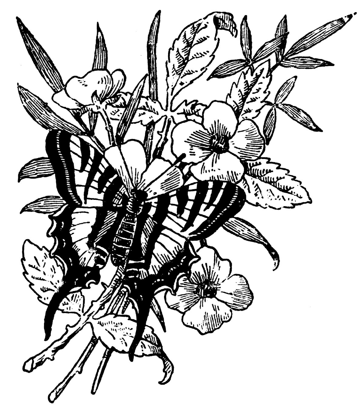 Рисунки для выжигания