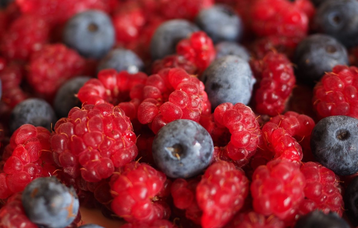 Фрукты фото красивые