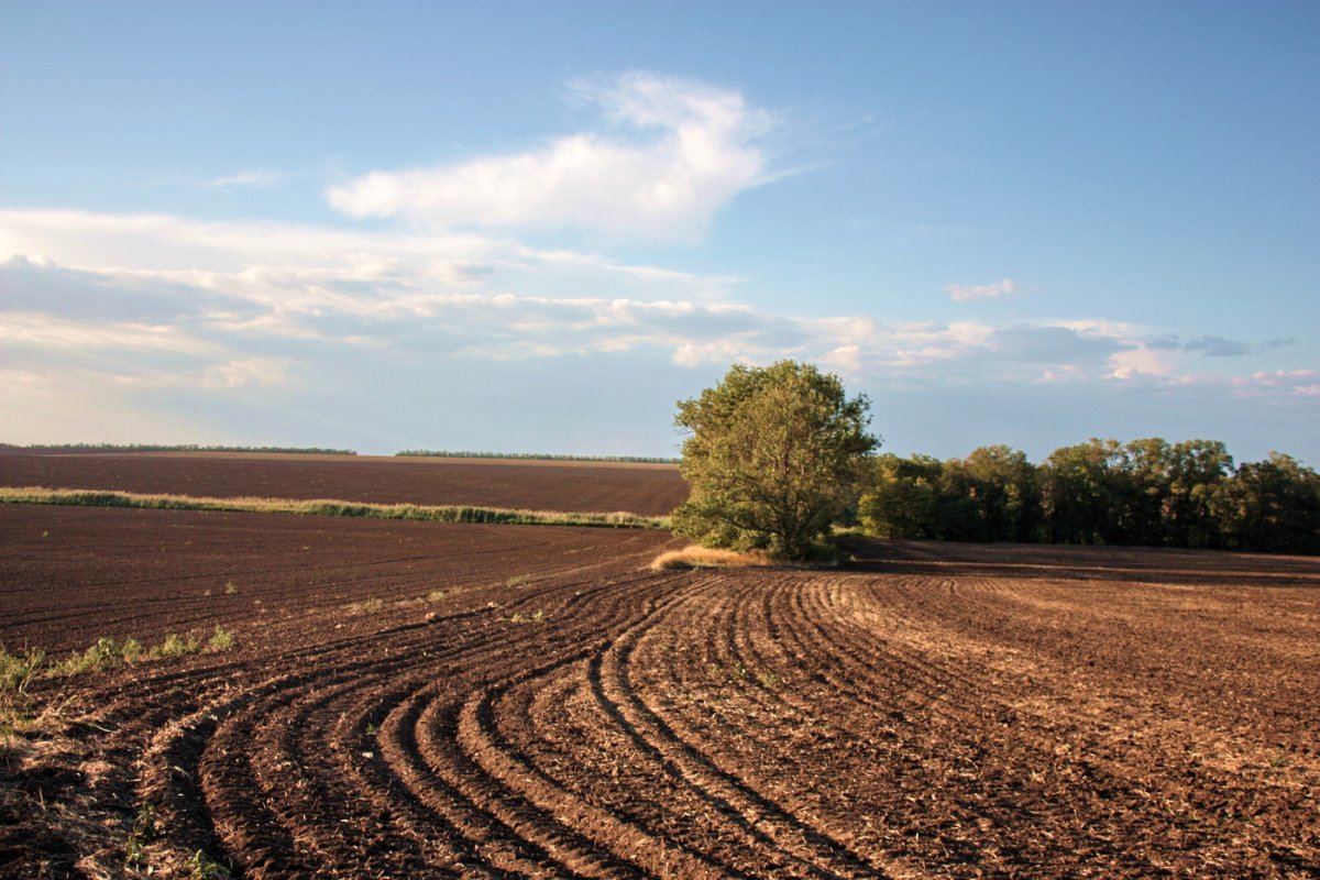 Плодородные пахотные земли Ставрополья