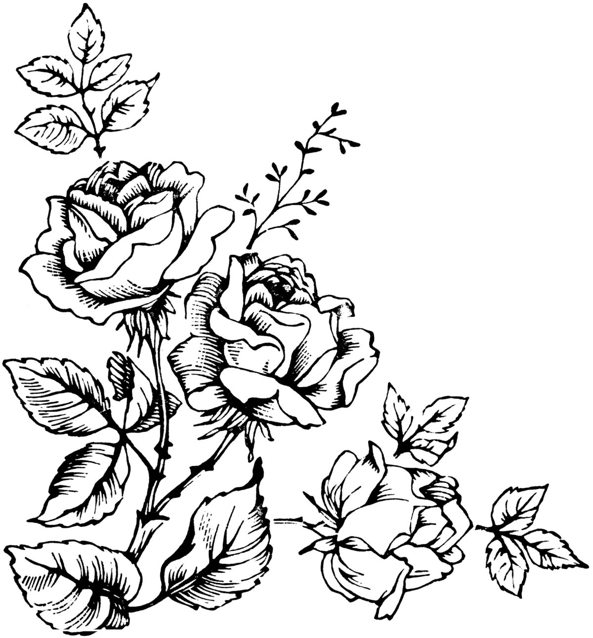 Узоры для выжигания по дереву