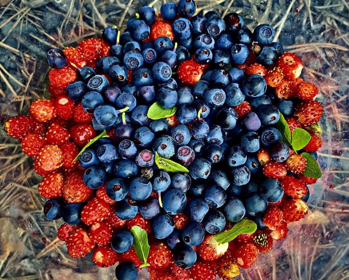Ежевика малина голубика