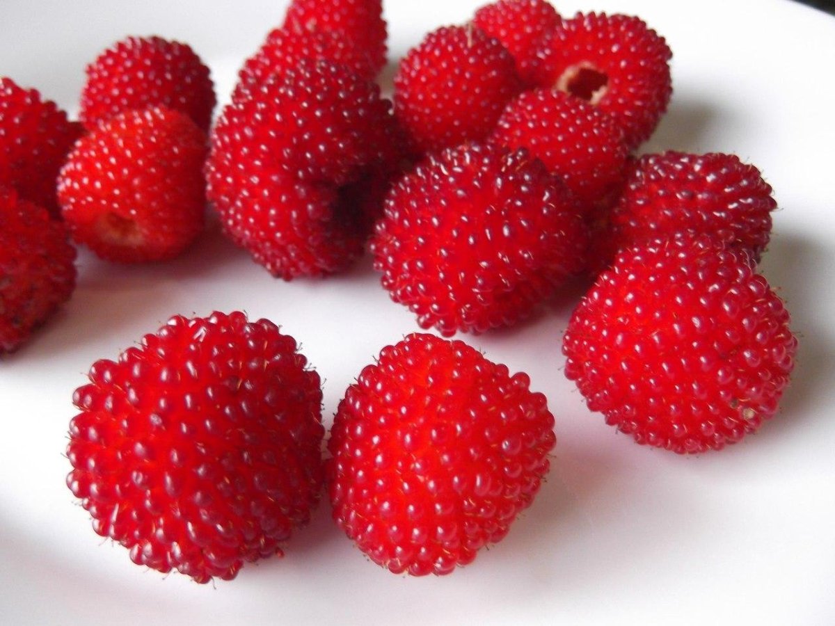 Земляника в ладошке