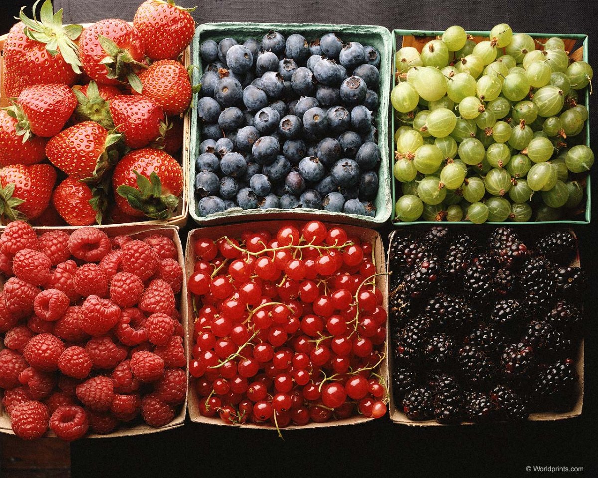 Ягоды названия