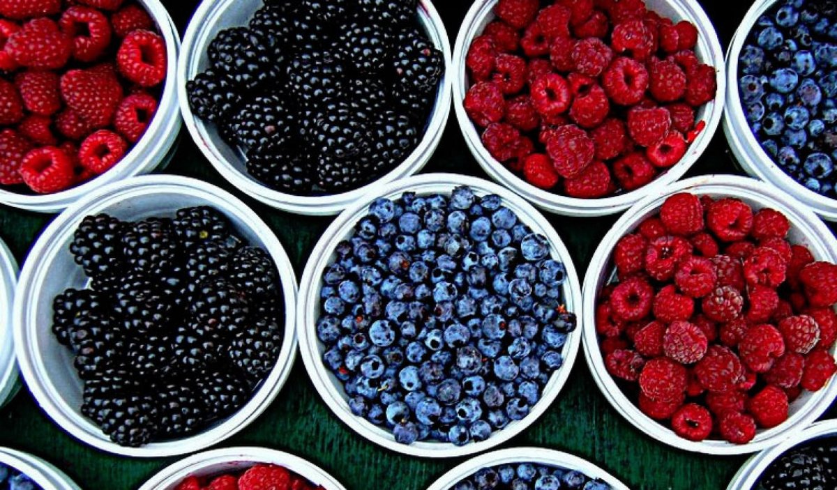 Малина и голубика