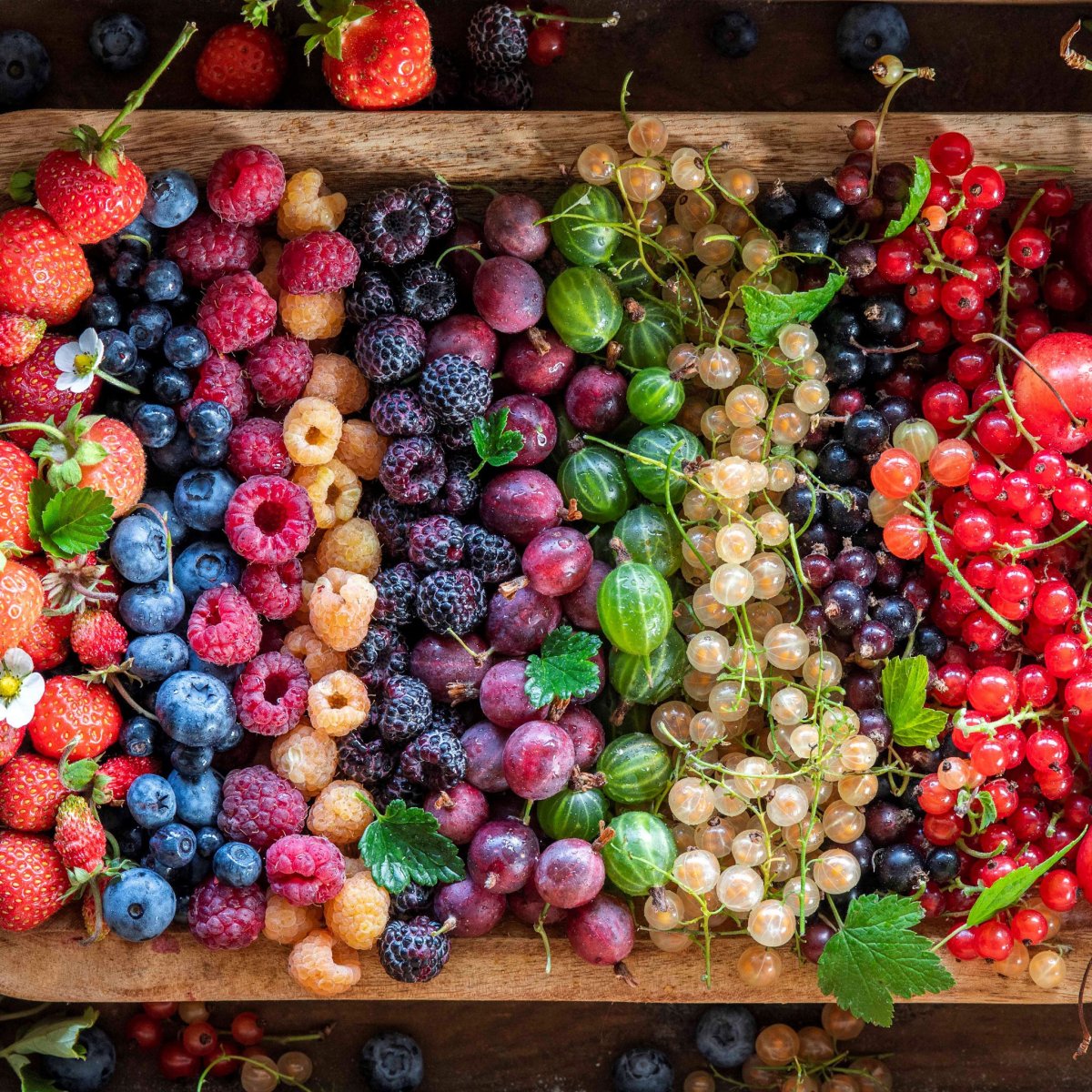 Красная ежевика и малина