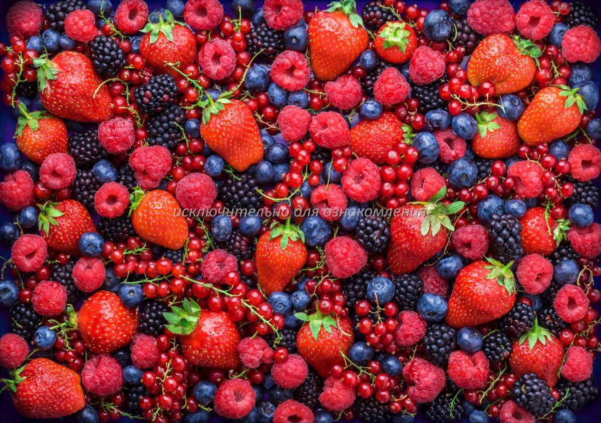 Ежевика малина голубика