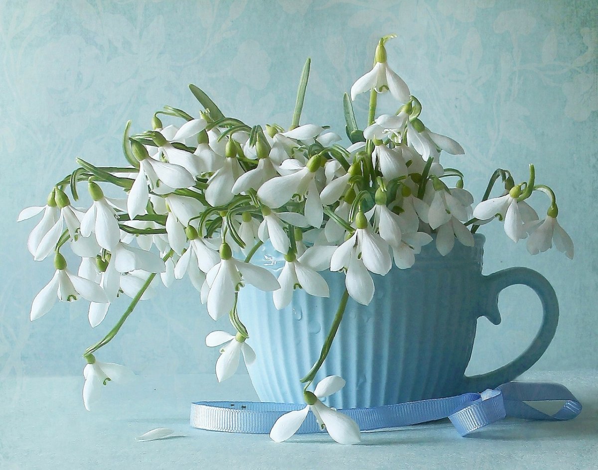 С 8 марта подснежники