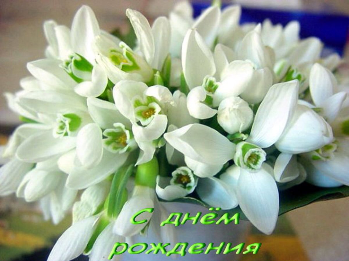 Открытки с подснежниками