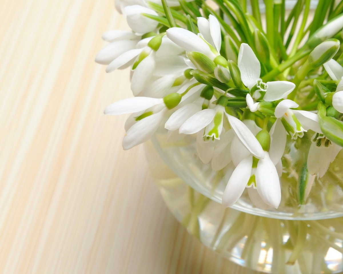 Корзинка с подснежниками