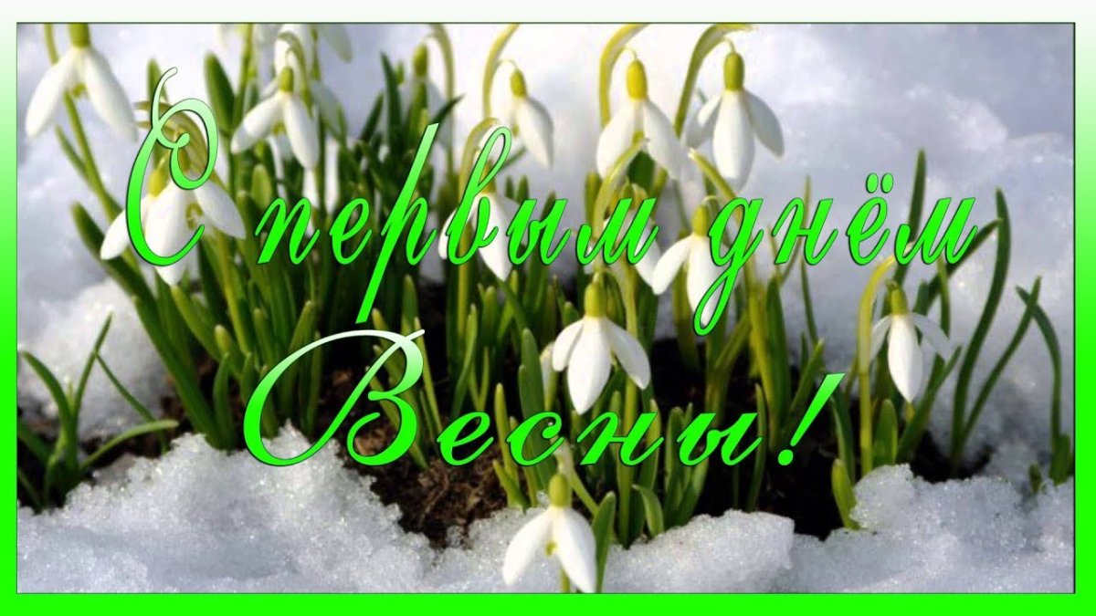 Подснежники в корзине