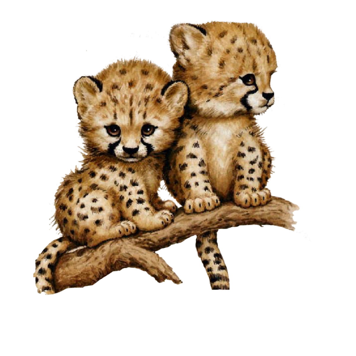 Леопард рисунок