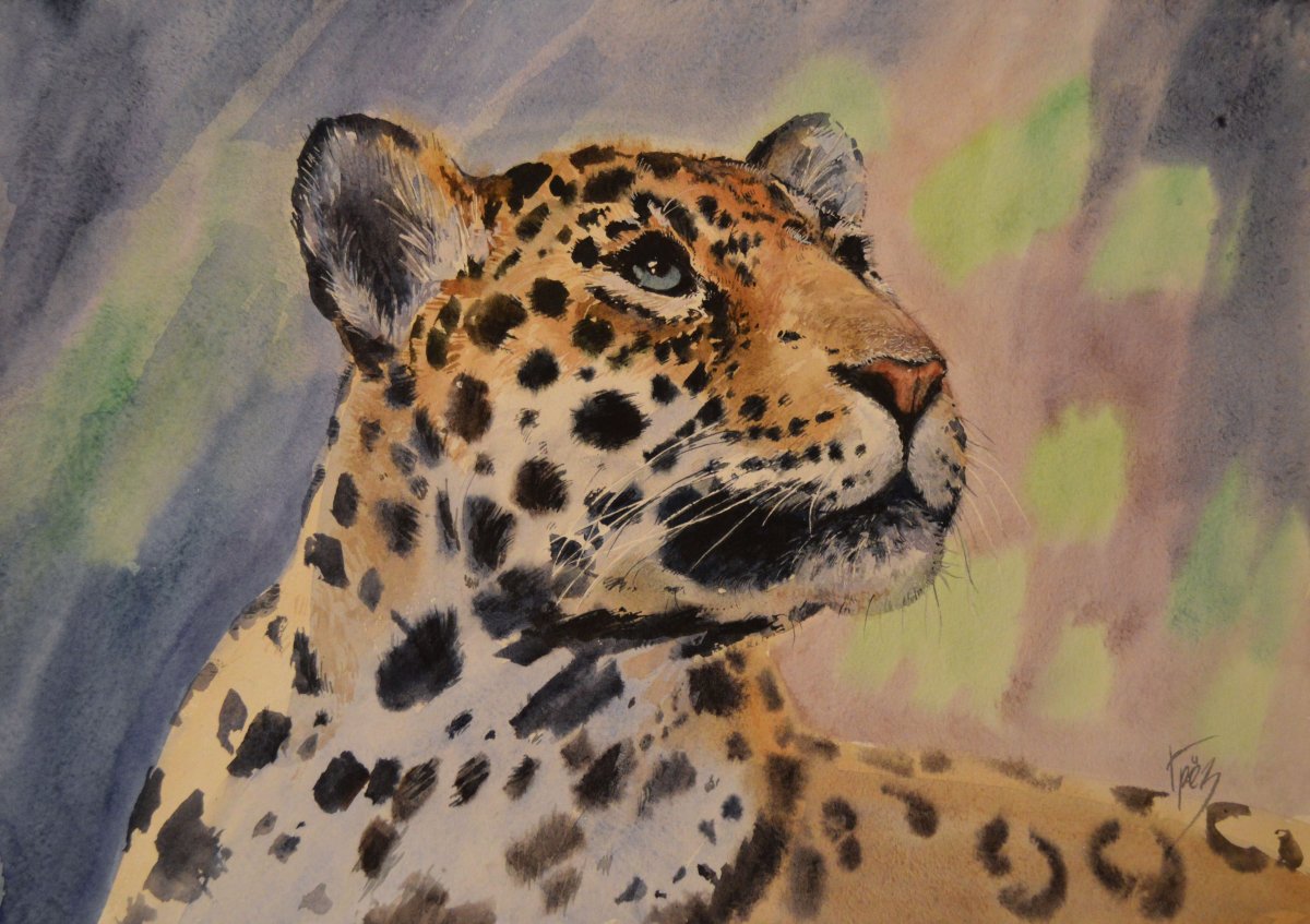 Гепард рисунок для детей