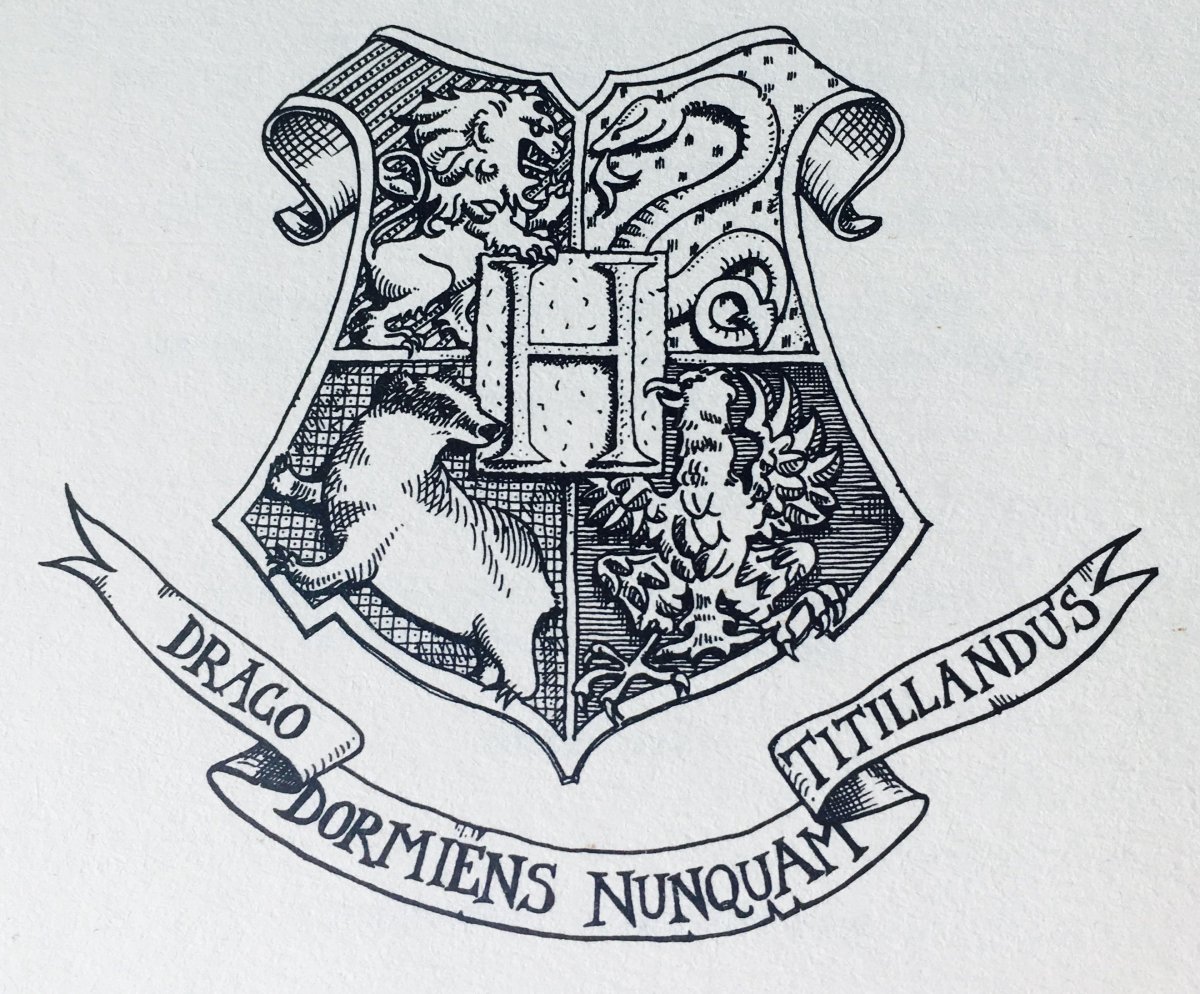 Гарри Поттер Слизерин Гриффиндор