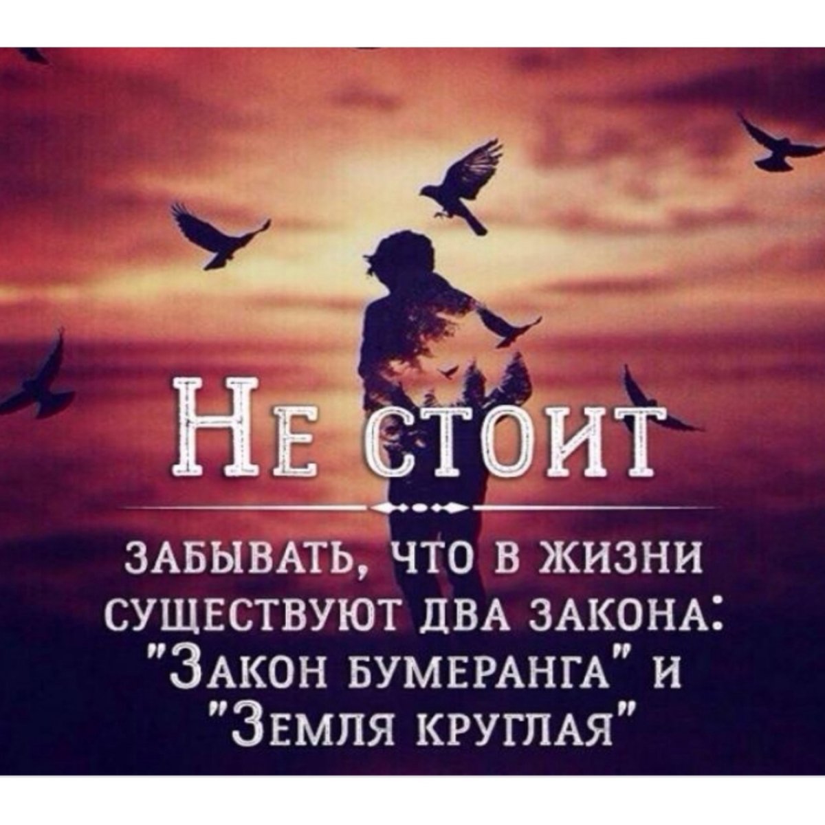 Цитаты про Бумеранг в жизни со смыслом