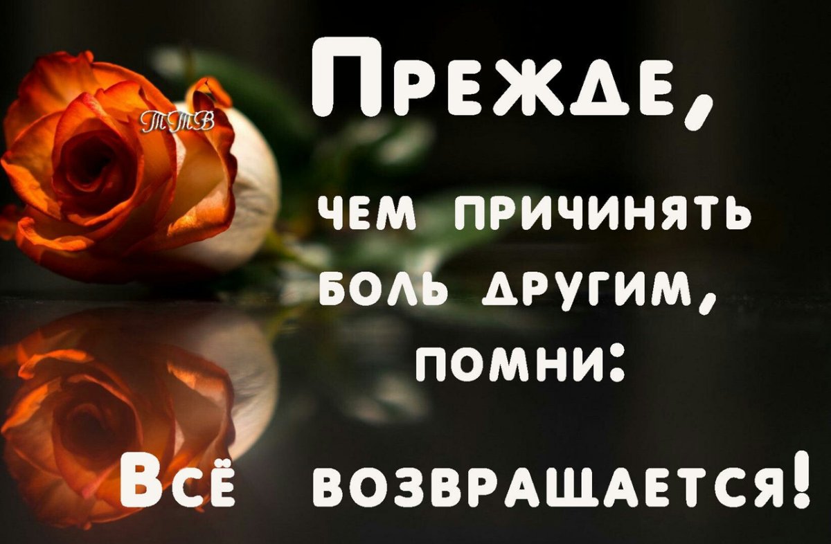 Жизнь Бумеранг к тому и ведётся